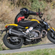 Illustration for article titled Don't Be Scared Of The Ducati Monster